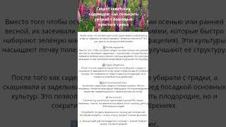 Секрет советских садоводов: как повысить урожай с помощью простого трюка #огород #дача #участок