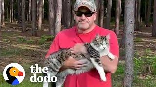 Cat Becomes Totally Obsessed With His 'Dog Person' Dad | The Dodo Soulmates