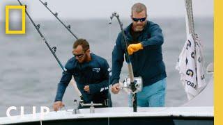 Captain Cook Snags a Big Tuna | Wicked Tuna | National Geographic