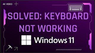 Solved: Keyboard not working on Windows 11 (2023 fix)