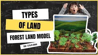 DIY Types of Land: Forest Land Model | Ankur Project #DIY #ScienceProject