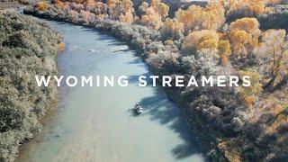 Fly Fishing For Trout And... Getting Over A Dam Problem | Wyoming Streamers