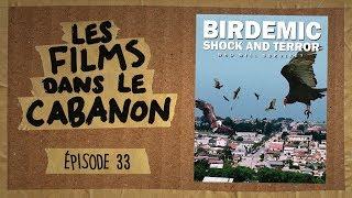 Les Films dans le Cabanon #33 - Birdemic: Shock and Terror