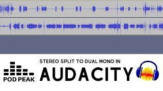 Split Stereo Track Into Dual Mono in Audacity