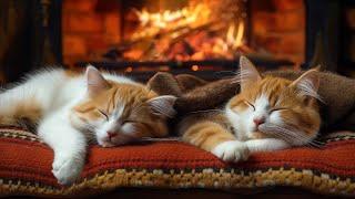 Say Good Bye To Insomnia, Relief Stress with Fireplace, Purr Sounds | Cozy Cottage with Purring Cat