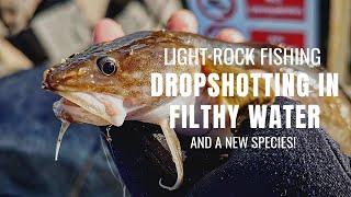 Light Rock Fishing - Dropshotting in Filthy Water (And a new species)