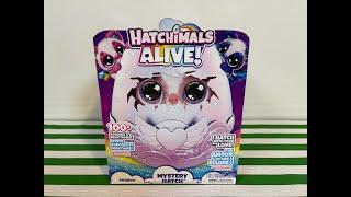 Unboxing Hatchimals Alive Mystery Hatch!