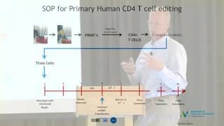 JDRF NW Type One Nation Summit 2016- Gene Editing To Engineer Treg Cell Therapies For T1D