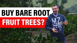 Is Buying A BARE ROOT Tree Worth It?? | Bare Root Fruit Trees Explained