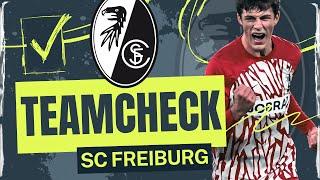 Bundesliga Teamcheck SC Freiburg und die Frage: Bleibt der Schuster bei seinen Leisten? 