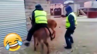 BEST OF THE MONTH #8 - Hilarious People's Life  TRY NOT TO LAUGH  PHD