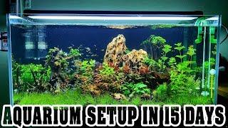 Aquarium Setup in 15 Days - Aquascape - Live Planted Fish Tank