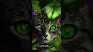 first edit#subscribe #support #likeforlikes #share