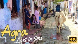 [4K]  Agra old city full walk tour until Taj Mahal . Cows, rituals, traffic, food, markets India