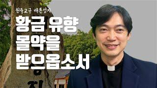 원주교구 배론성지 | 황금 유향 몰약을 받으옵소서