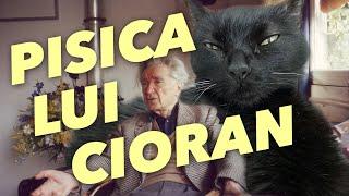 Pisica lui Cioran