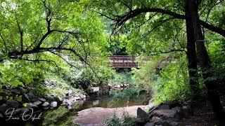 118: Bon Air Park Rose Garden Fairfax County, Virginia (6-2-2016)