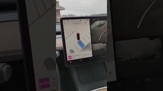 Tesla Autopark for vision only non-USS Model Y #tesla #autopark #modely