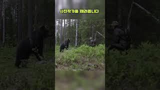 산에서 야생 곰과 마주친다면? 죽은척..?