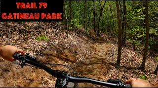 Trail 79 - Gatineau Park Mountain Biking - Chelsea, Quebec