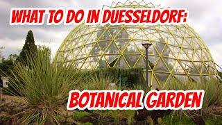 Top Sightseeing Spots Duesseldorf: Botanical Garden (english)