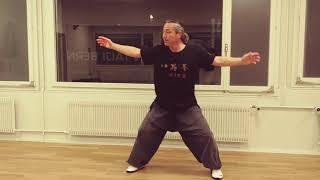 Q u a n   b a o - Kungfu Baji Bern