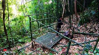 Sinh Tồn Trong Rừng | 24h Trong Rừng Tre | Trai Núi Vlog | survival in the forest