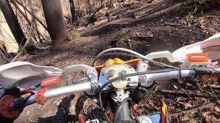 FIRELINE | Burned Forest Singletrack