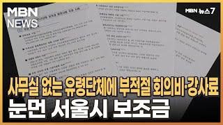 사무실 없는 유령단체에 부적절 회의비·강사료…눈먼 서울시 보조금 [MBN 뉴스7]