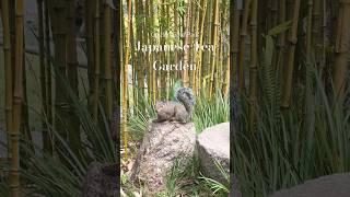 Visiting Golden Gate Park Japanese Tea Garden #zone3gardening #japanesegarden #gardenvisit #oriental