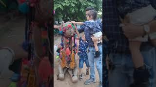 camel ride #camel #ride #camelride #cuteanimal #fun #youtubrshorts