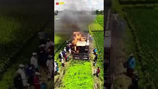 Sebuah comben terbakar ketika sedang memanen padi (video buatan AI)