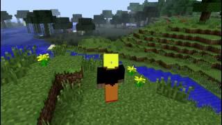 Minecraft new skin