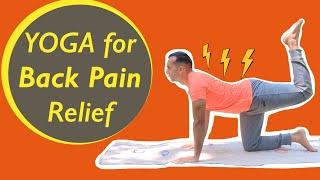 Daily Yoga for Back Pain Release | Sri Sri Yoga | Mayur Karthik