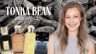 Top TONKA BEAN Fragrances