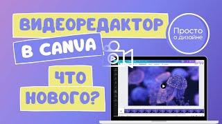 Видеоредактор Canva: что нового? | Февраль 2023