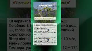 Погода у Харкові 18.06.2025 #погода