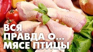 ВСЯ ПРАВДА О МЯСЕ ПТИЦЫ !