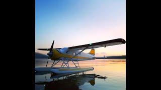 Dynam DHC-2 Beaver V2 Blue 4S Sea/Land RC Seaplane 1.5m w/ Flaps