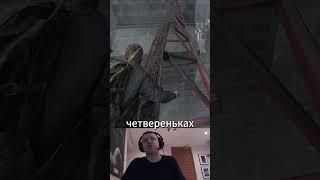 Паунс в окно