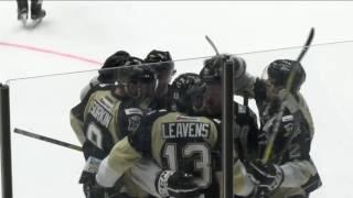 3-31-17 Wheeling Nailers vs Brampton Beast Highlights