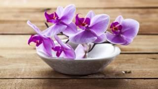 1 HOUR Thai Spa Music for Oriental Massage | Sound of Thailand