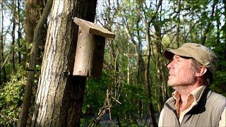 How to make a Bird Box (Bird House) from a log