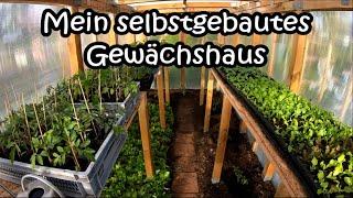 Mein selbstgebautes Gewächshaus