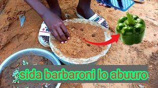 sidee loo abuura barbarooni| macalin cabdi Malik