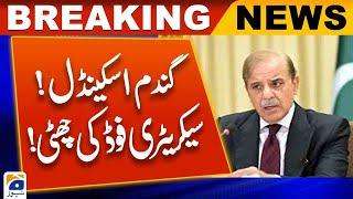 Wheat Scandal | Prime Minister Shehbaz Sharif | Caretaker Government | Geo News