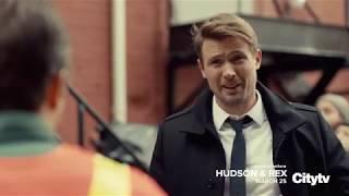 Hudson & Rex | New Drama Series on Citytv