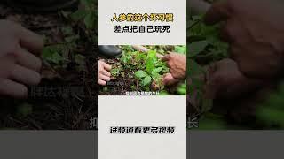 人参的这个坏习惯，差点把自己玩死 #知识 #趣闻 #历史