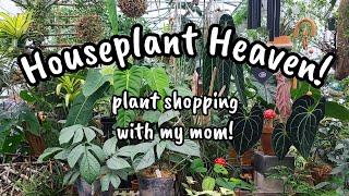 HOUSEPLANT HEAVEN!!  Plant Shopping at Shakespeare's Garden in Brookfield, CT with my Mama 🩷 