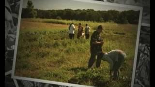 Dream of Wild Health: Sally Auger Interview